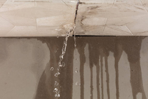 Professional Water Damage Inspection technician working in Auburndale, FL